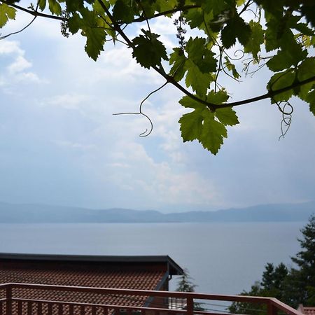 Villa Fania Ohrid Extérieur photo