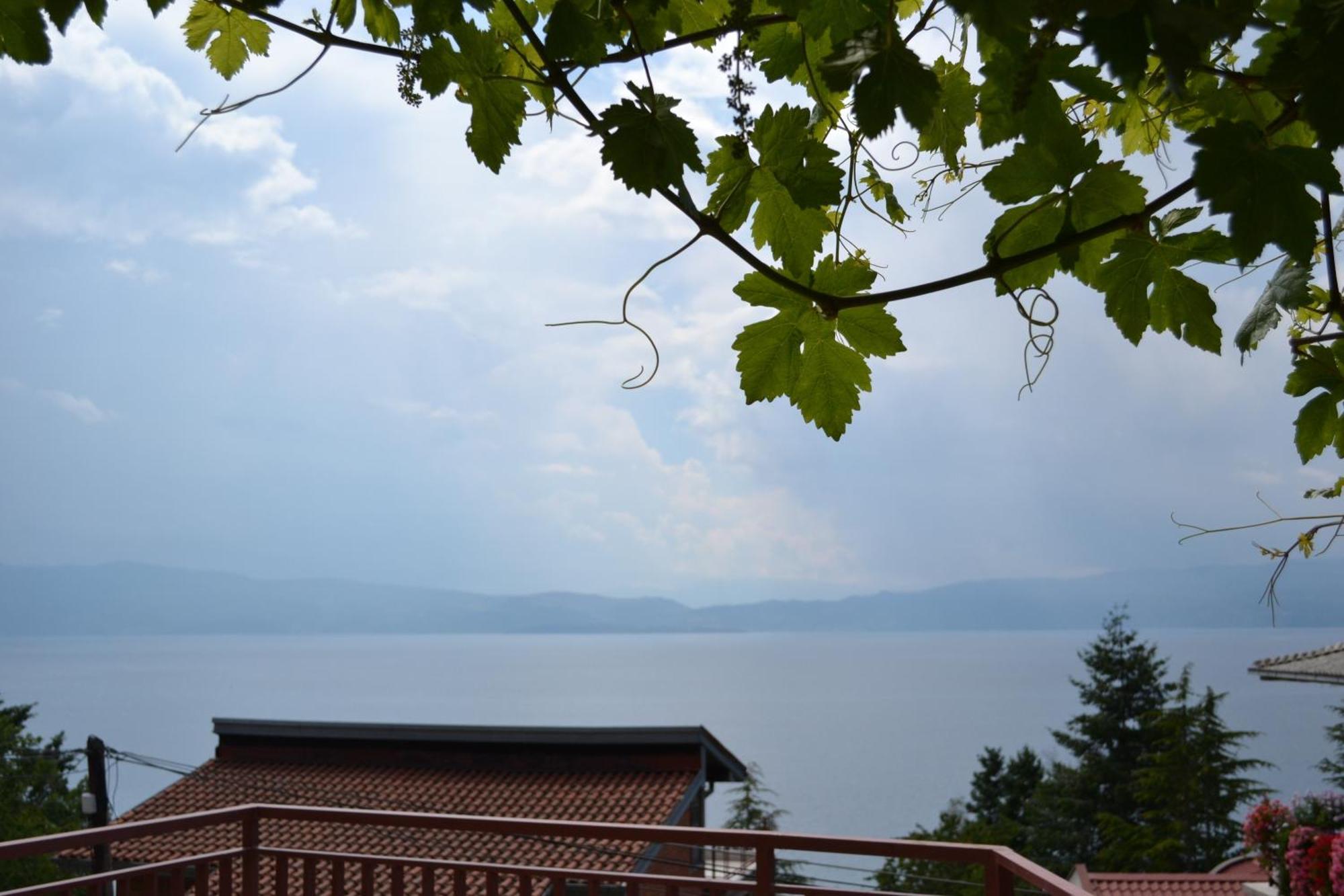 Villa Fania Ohrid Extérieur photo
